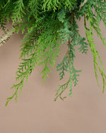 【12/10まで！】風渡る、エバーグリーンの大きなクリスマスリース