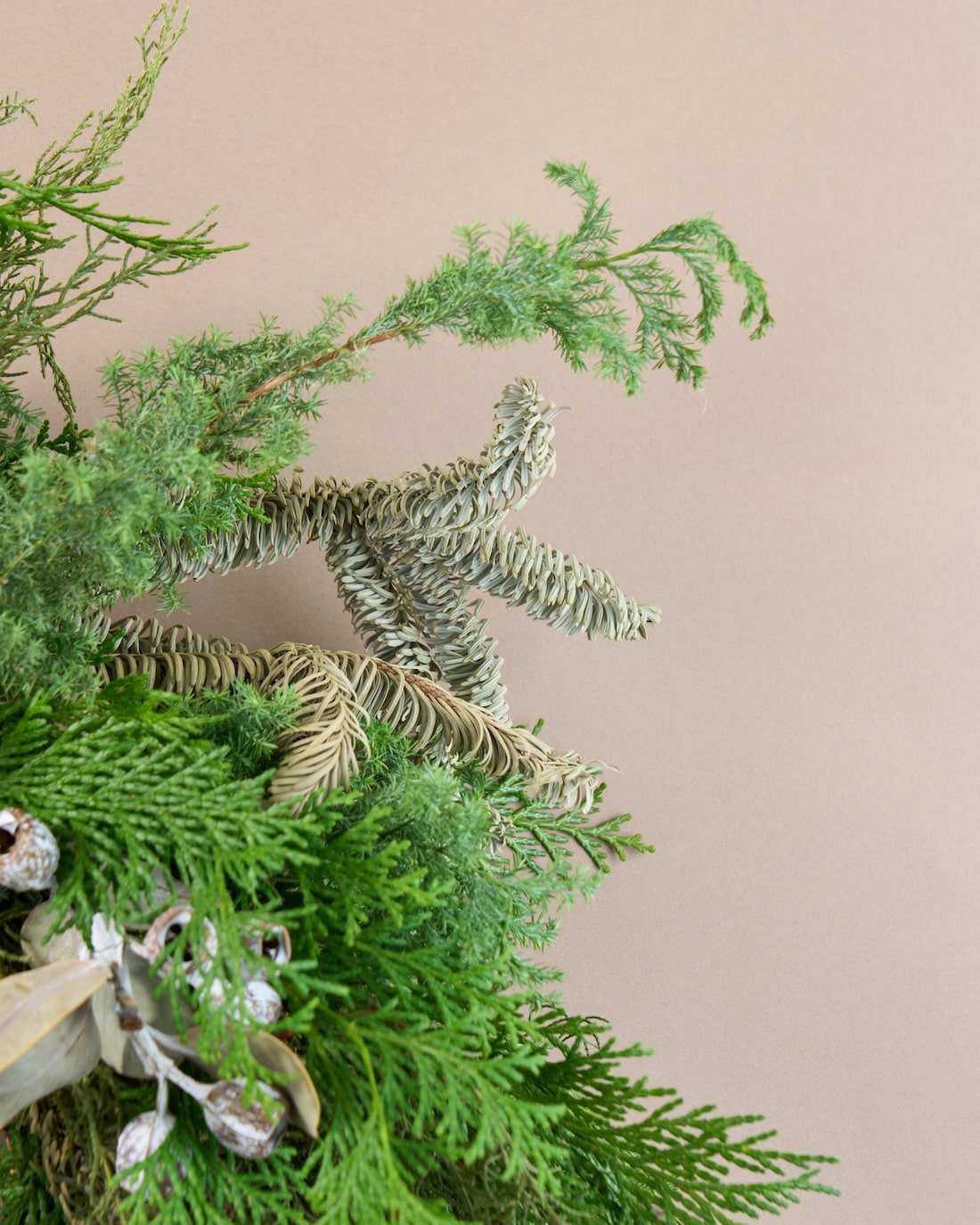 【12/10まで！】風渡る、エバーグリーンの大きなクリスマスリース