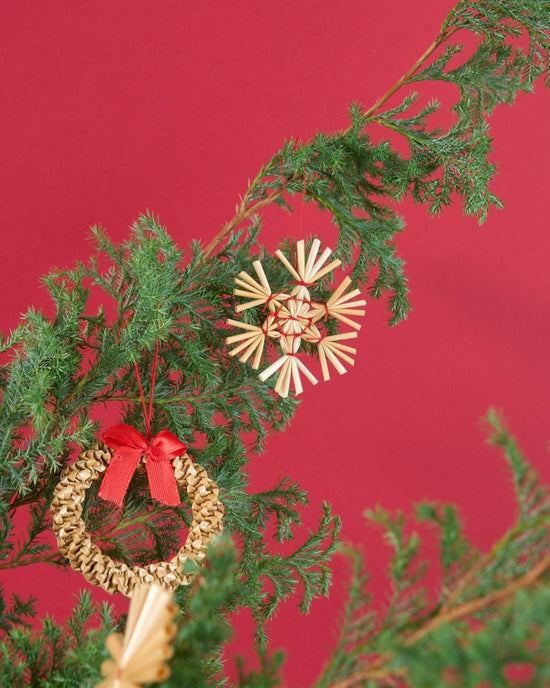 【12/10まで！】飾るだけでサマになる、サツマ杉とストローオーナメントのセット