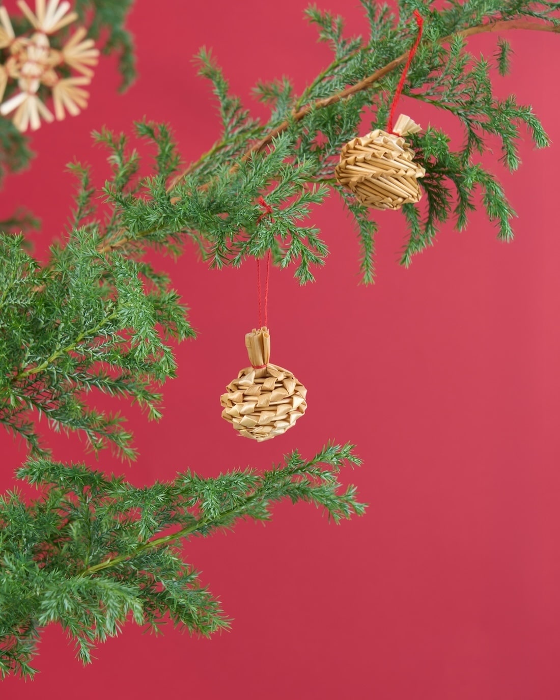 【12/10まで！】飾るだけでサマになる、サツマ杉とストローオーナメントのセット