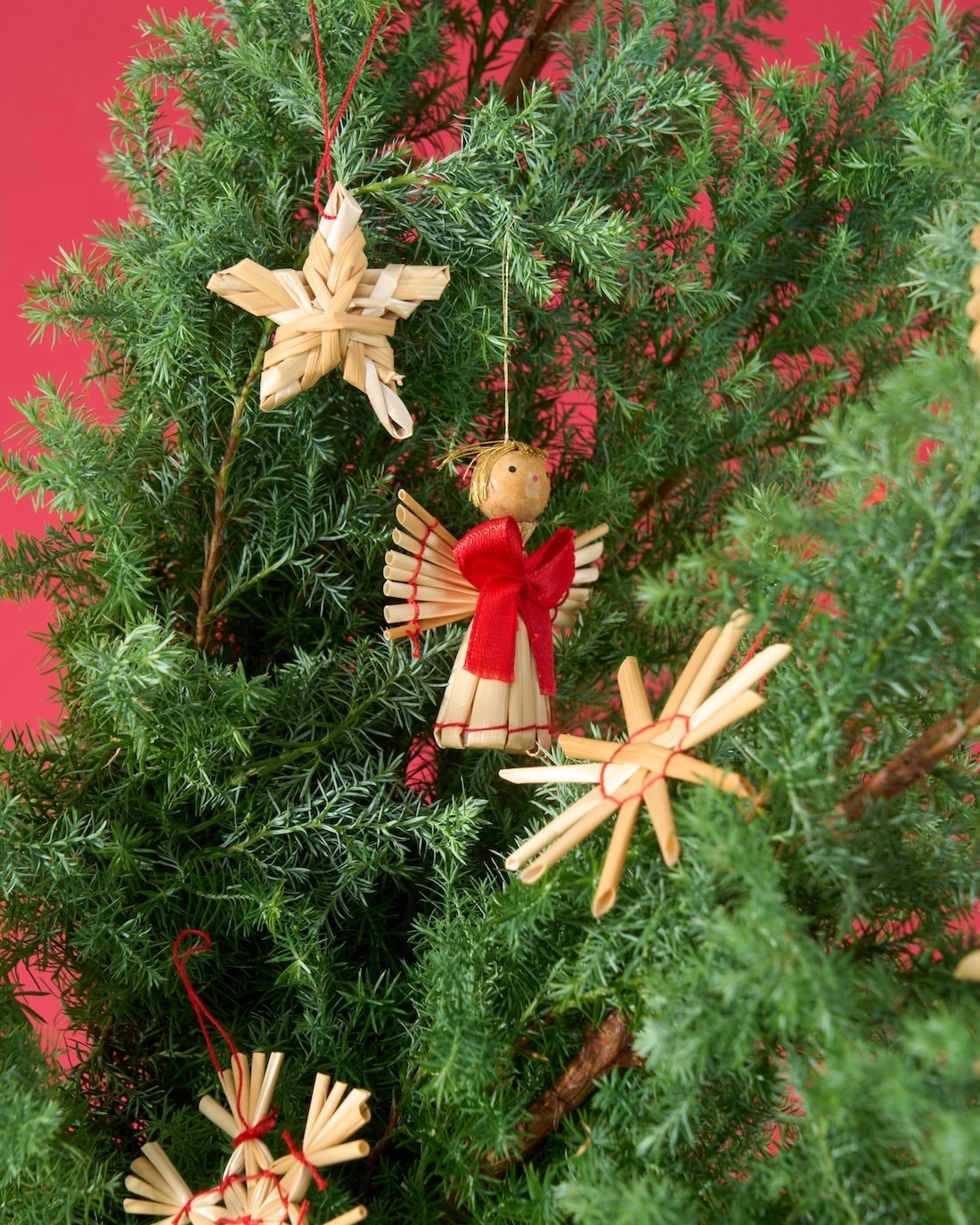 【12/10まで！】飾るだけでサマになる、サツマ杉とストローオーナメントのセット