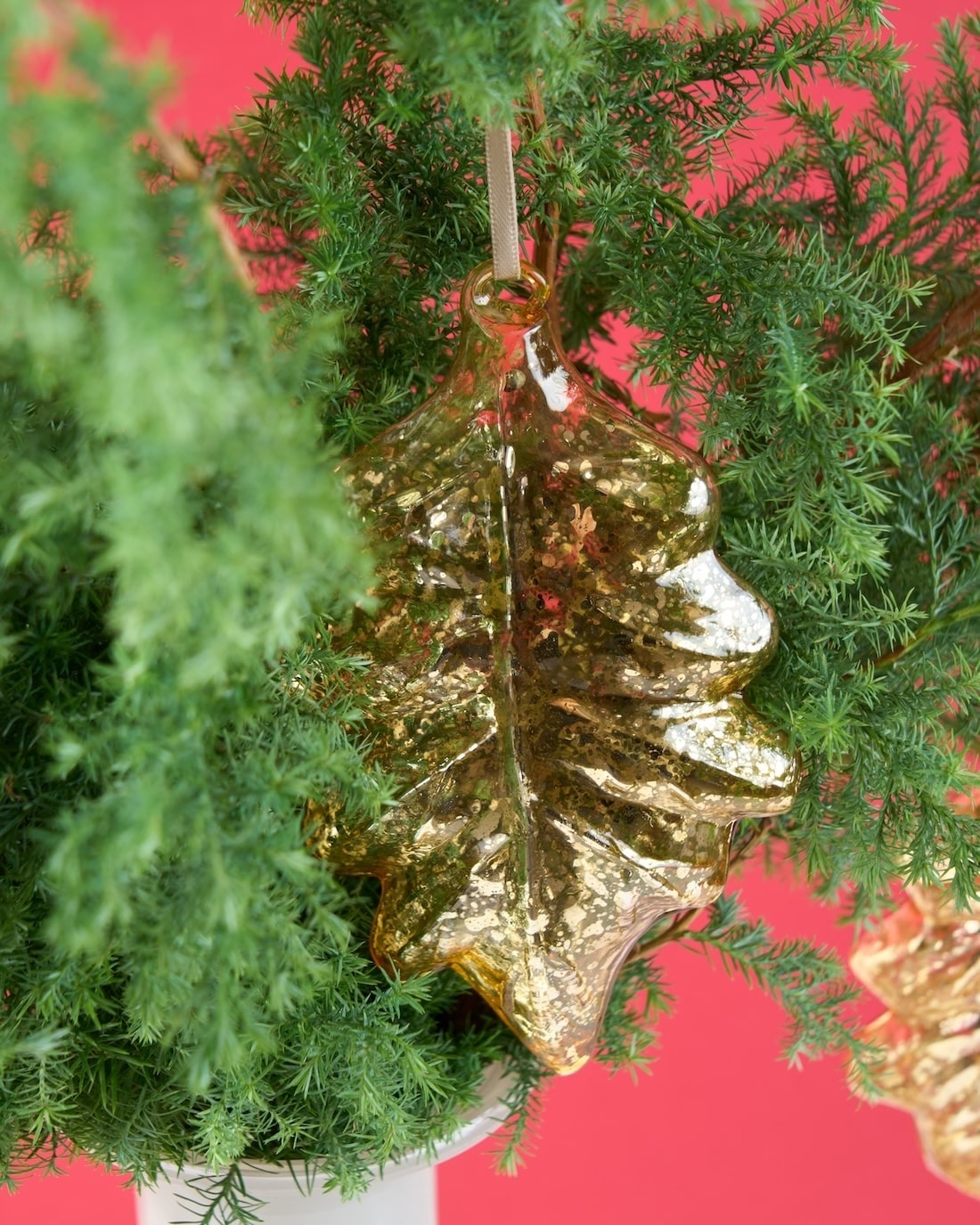 クリスマスを彩る、サツマ杉とガラスリーフオーナメントのセット 商品