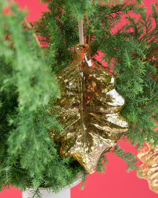 飾るだけでサマになる、サツマ杉とガラスリーフオーナメントのセット