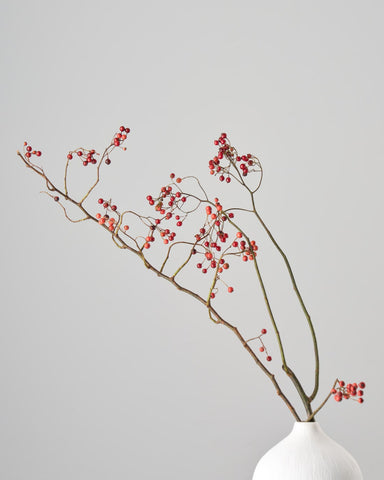 ドライフラワー］野ばらの実商品ページ - 土と風の植物園