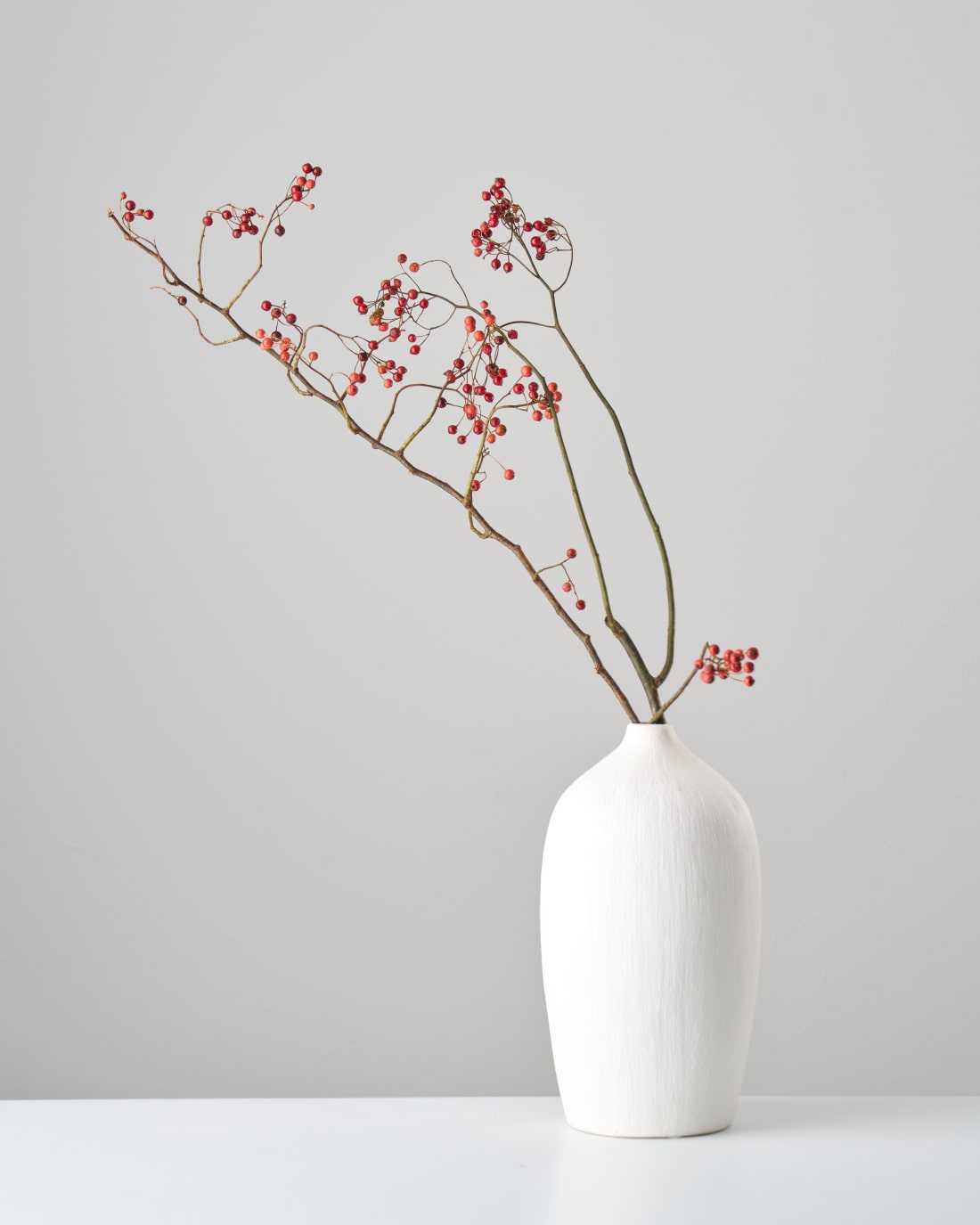 ❀✿もふもふ　5色ドライフラワー  インテリア ドライフラワー もふもふのおすすめ商品とおしゃれな実例 ｜ RoomClip