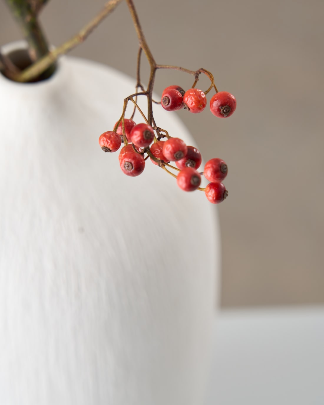 【今季残りわずか】［ドライフラワー］野ばらの実