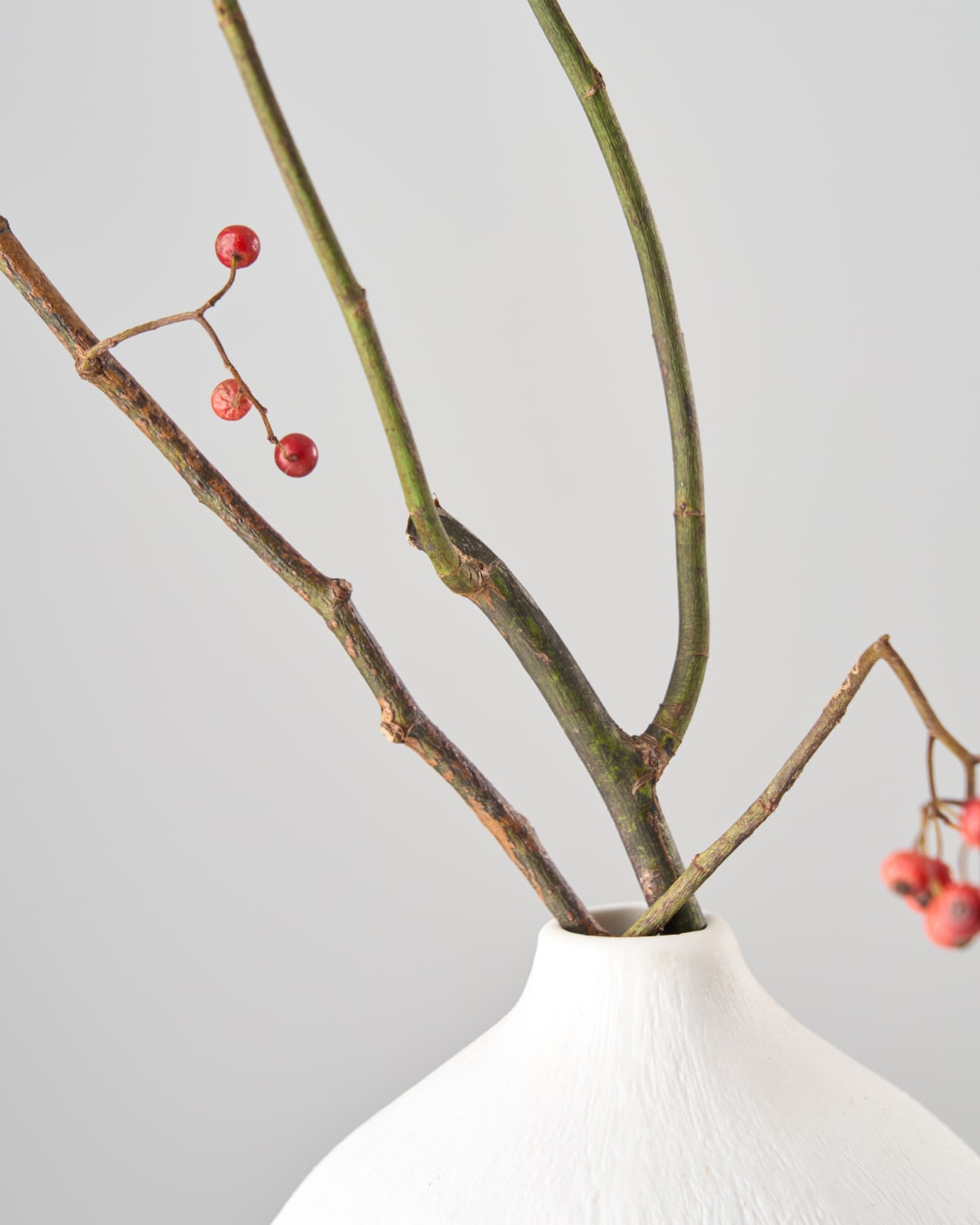 【今季残りわずか】［ドライフラワー］野ばらの実