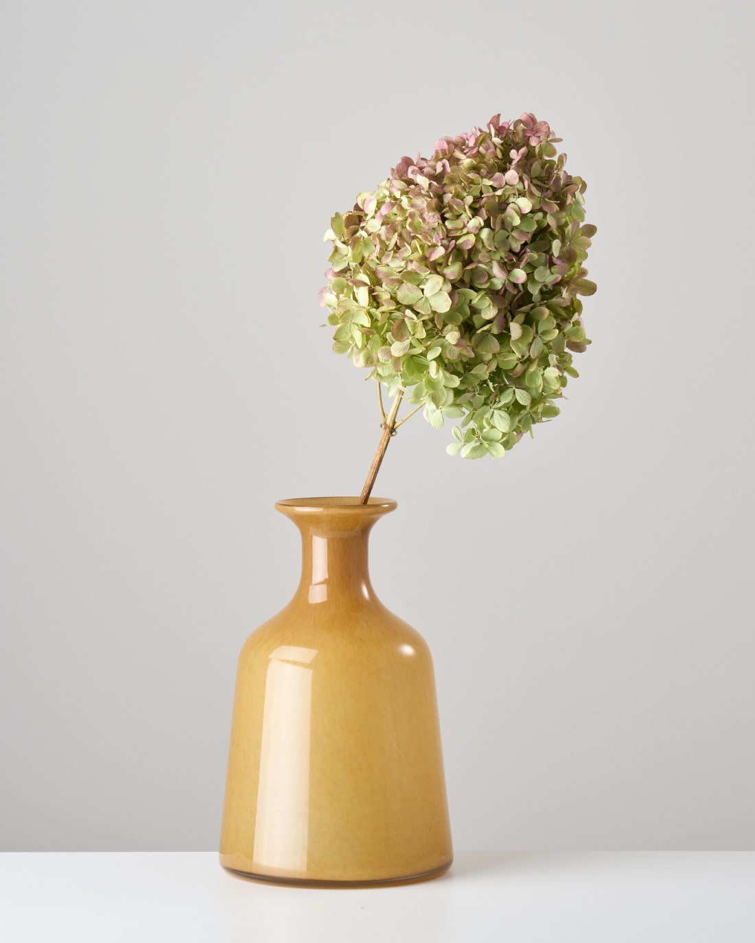 紫陽花のドライフラワー – 土と風の植物園