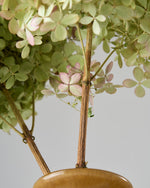 ［ドライフラワー］紫陽花 秋色ミナヅキ