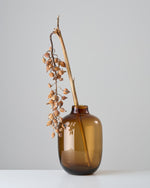 ［ドライフラワー］月桃の実