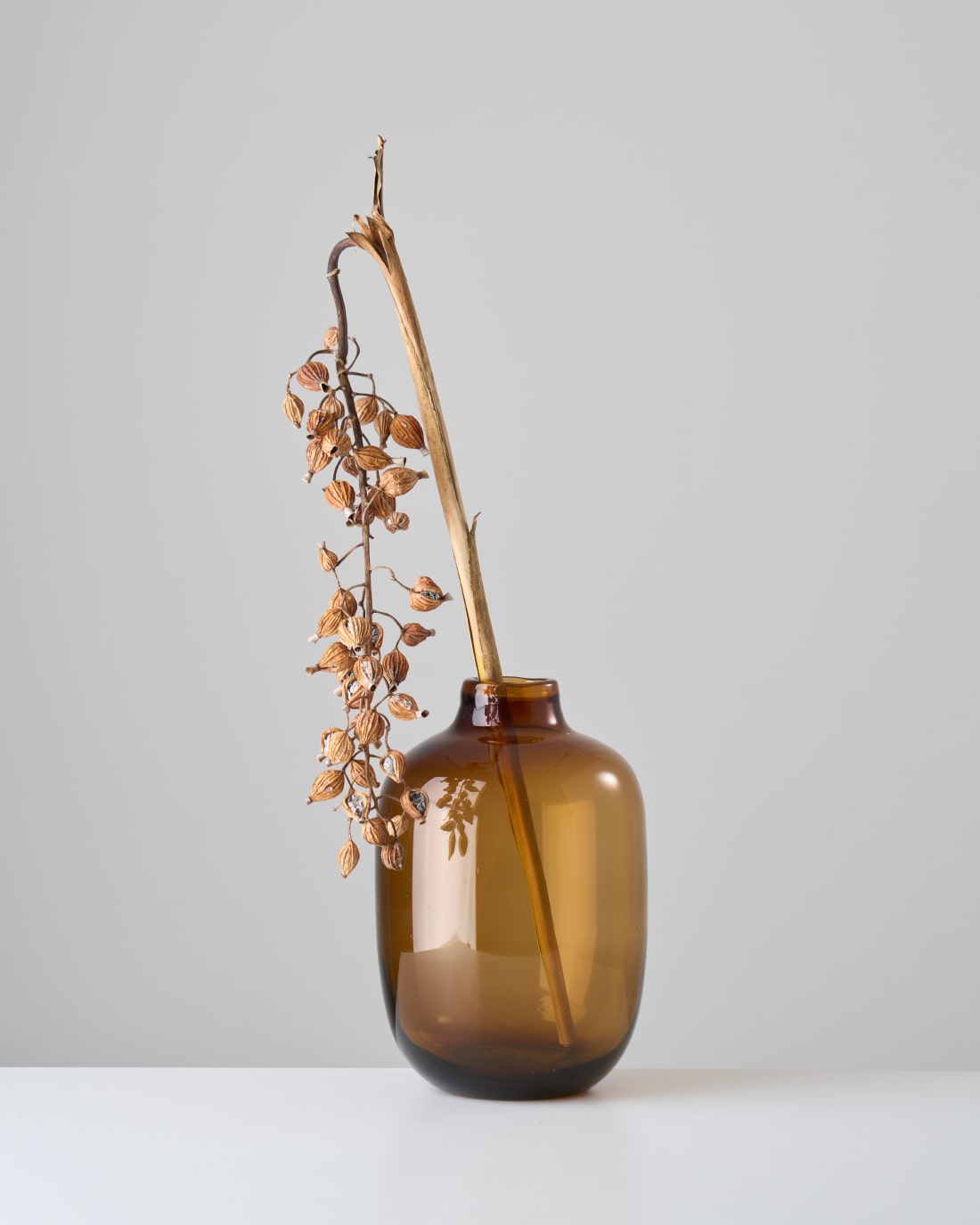 色彩豊かなドライフラワー │ 土と風の植物園