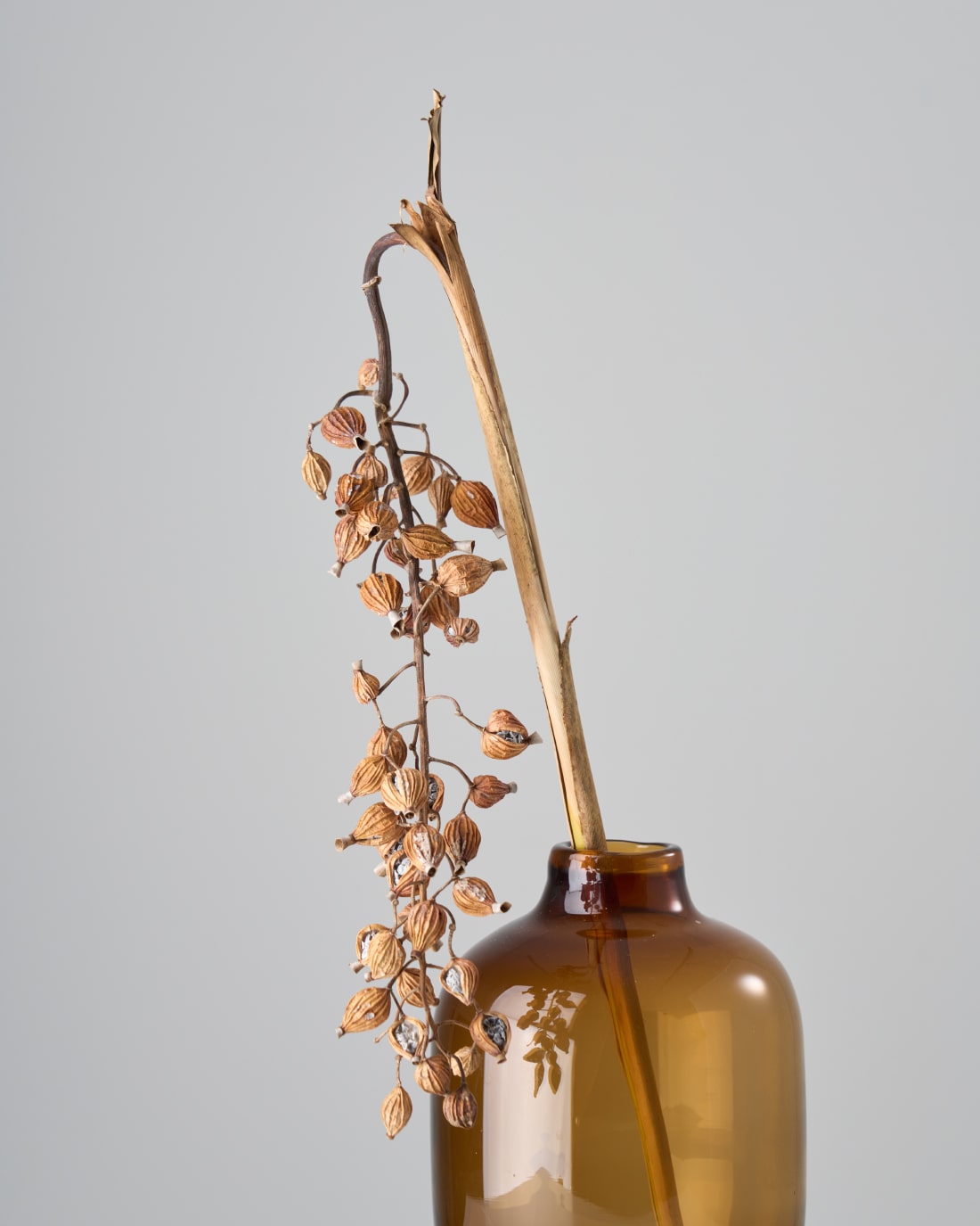 ドライフラワー 森の片隅風 A5板 ドライフラワー 森の片隅風 A5板