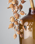 ［ドライフラワー］月桃の実