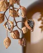 ［ドライフラワー］月桃の実