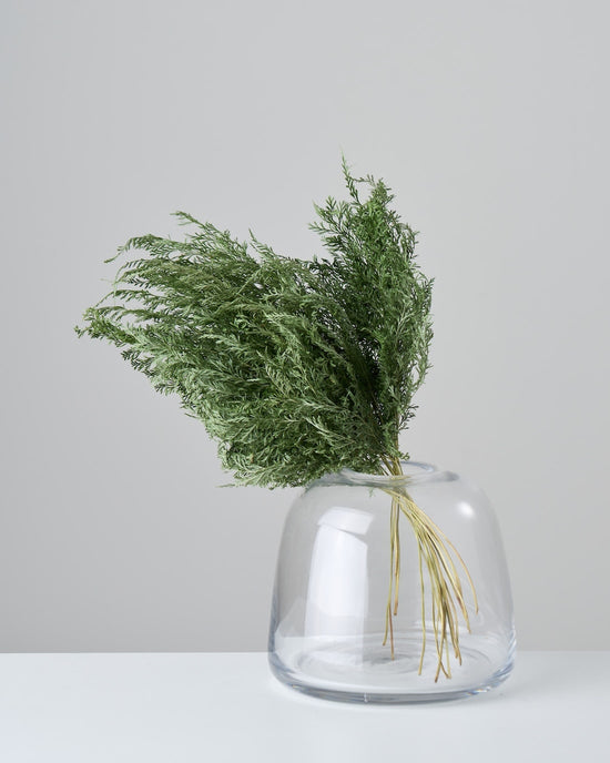 ［ドライフラワー］ベトナム タバリアファーン