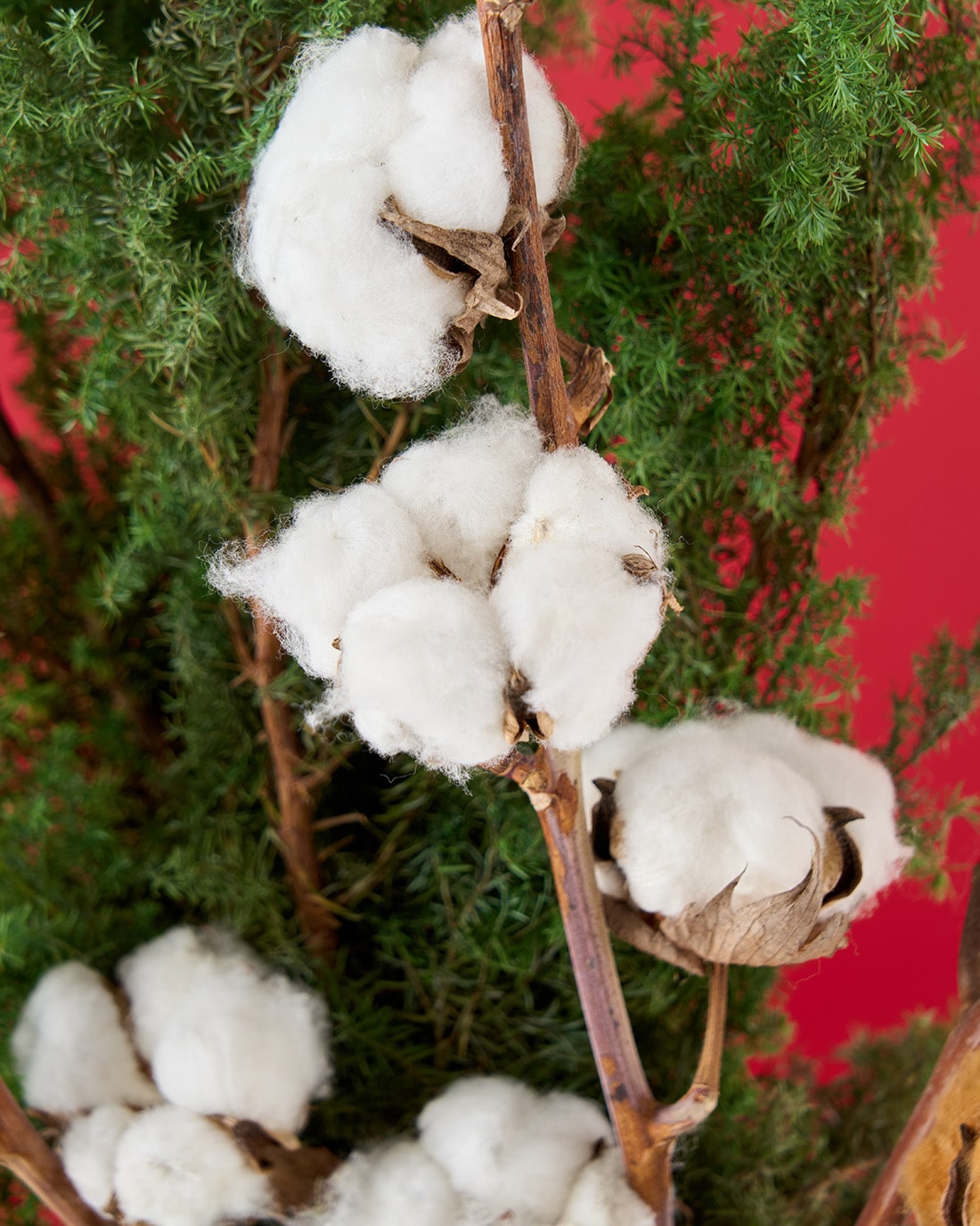 【12/10まで！】飾るだけでサマになるドライフラワーセット（サツマ杉・コットンフラワー）