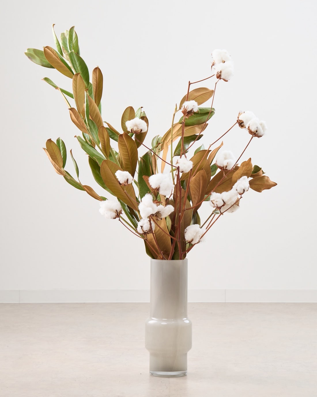 【BIGサイズ】飾るだけでサマになるドライフラワーセット（マグノリア・コットンフラワー）
