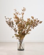 ［BIGボタニカル｜ドライ］アセビ　アンティーク