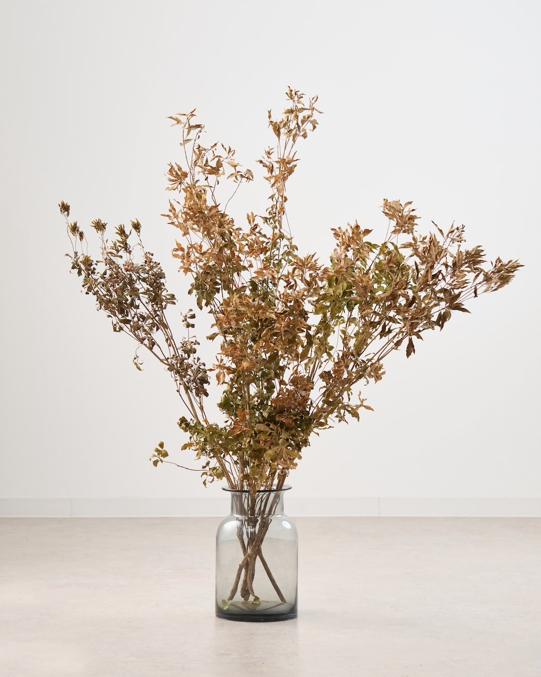 ［BIGボタニカル｜ドライ］アセビ　アンティーク