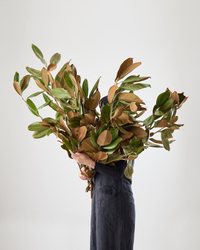 BIGボタニカルをお届けする理由