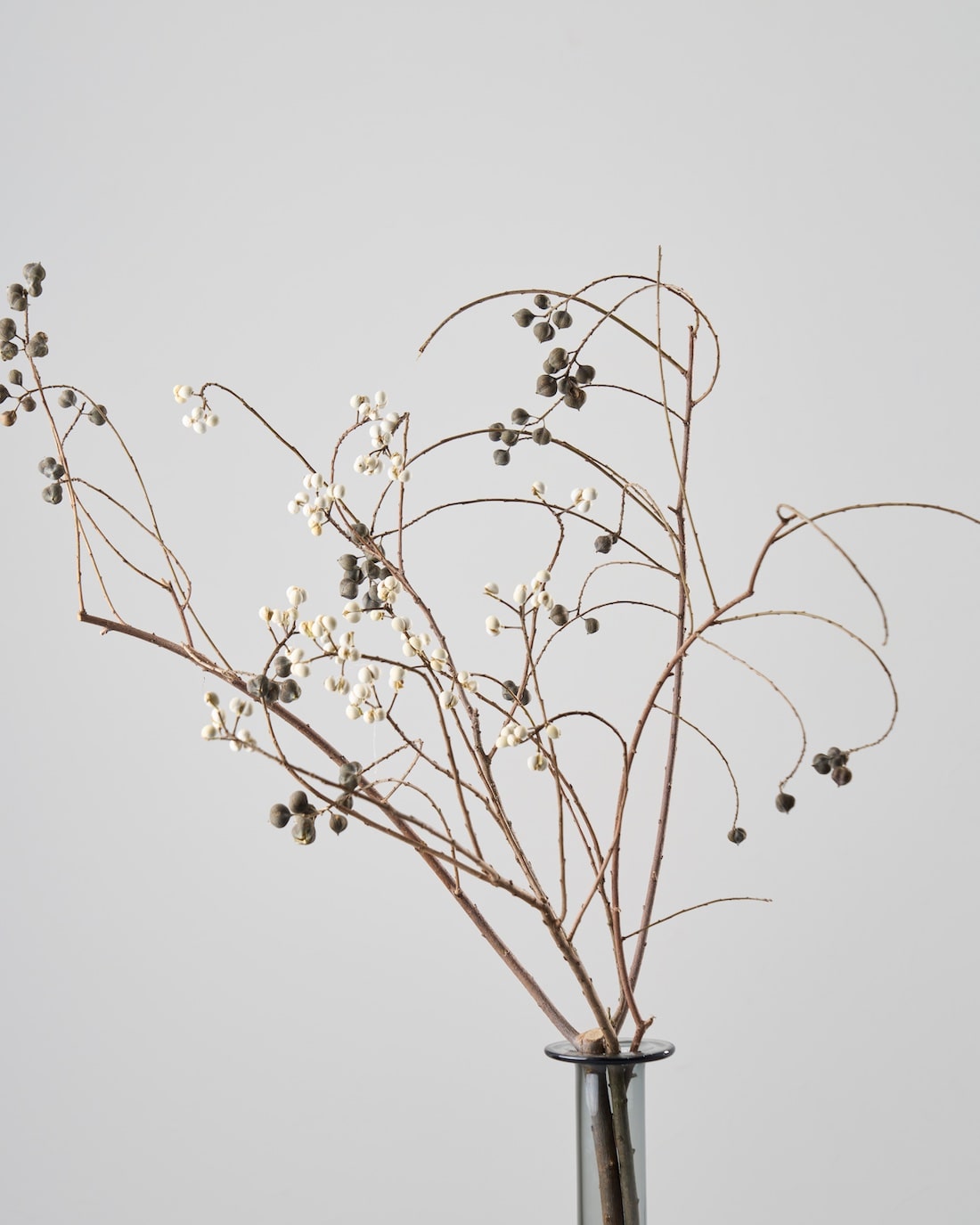 ［ドライフラワー］ナンキンハゼ