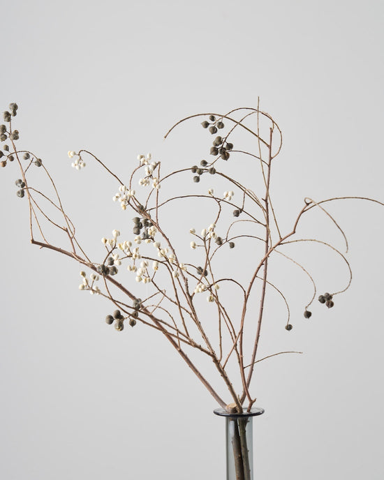 ［ドライフラワー］ナンキンハゼ