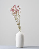 ［ドライフラワー］宿根スターチス