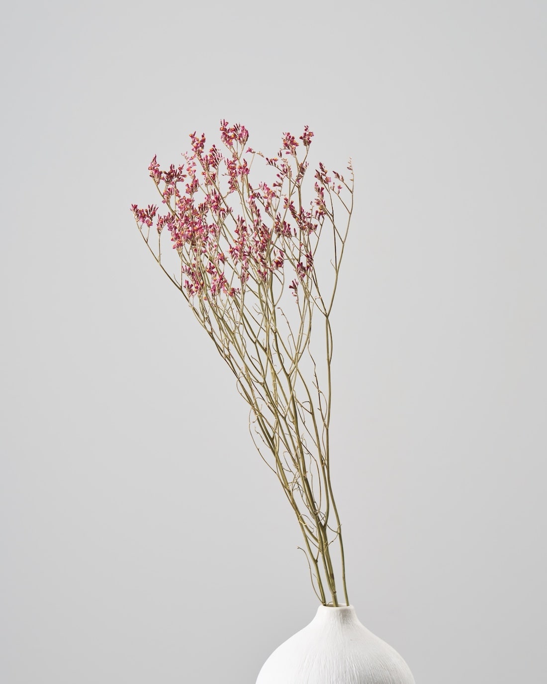 ［ドライフラワー］宿根スターチス