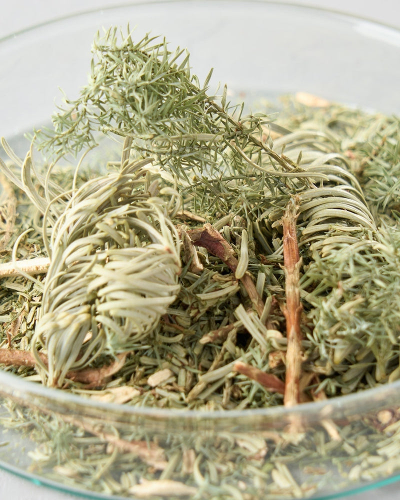 3. 新たに仲間入り。［更けるトキワ色］