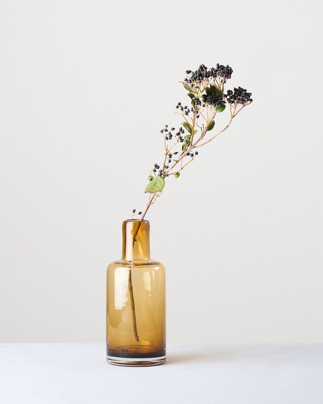 新着・再入荷 – 土と風の植物園