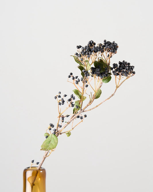 ［ドライフラワー］ティナスベリー（再入荷予定あり）