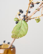 ［ドライフラワー］ティナスベリー（再入荷予定あり）