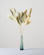 ［ドライフラワー］熊笹