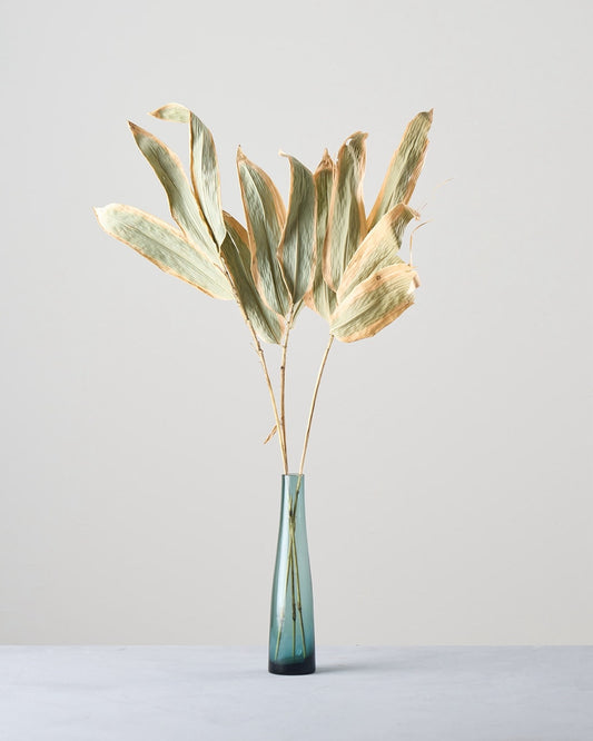 ［ドライフラワー］熊笹