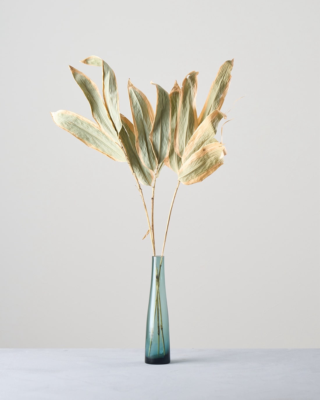 ［ドライフラワー］熊笹