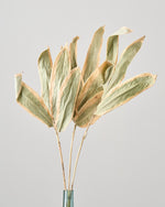 ［ドライフラワー］熊笹