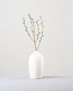 ［ドライフラワー］ユーカリ グロボラス