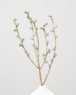 ［ドライフラワー］ユーカリ グロボラス