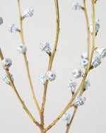 ［ドライフラワー］ユーカリ グロボラス