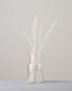 ［ドライフラワー］ほうき草　ホワイト