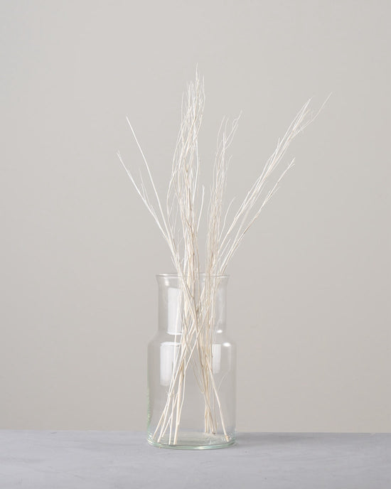 ［ドライフラワー］ほうき草　ホワイト