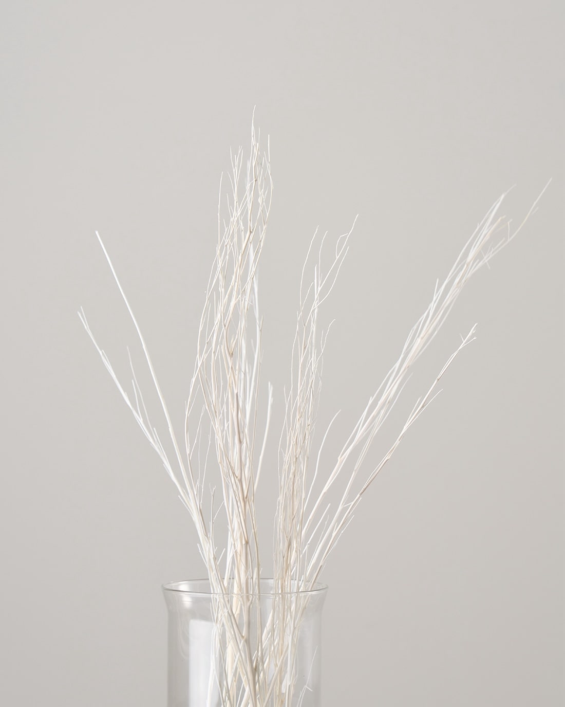 ［ドライフラワー］ほうき草　ホワイト