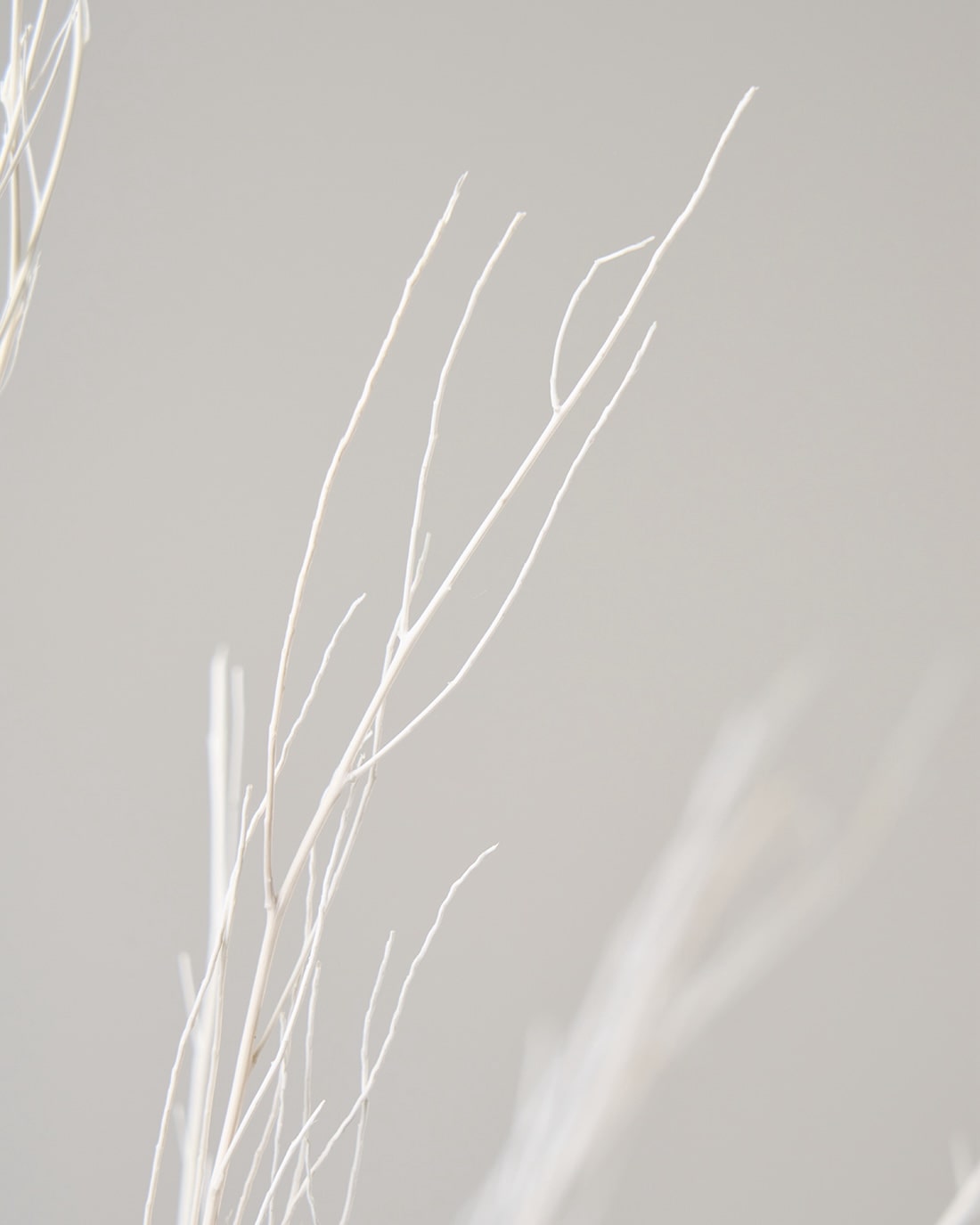 ［ドライフラワー］ほうき草　ホワイト