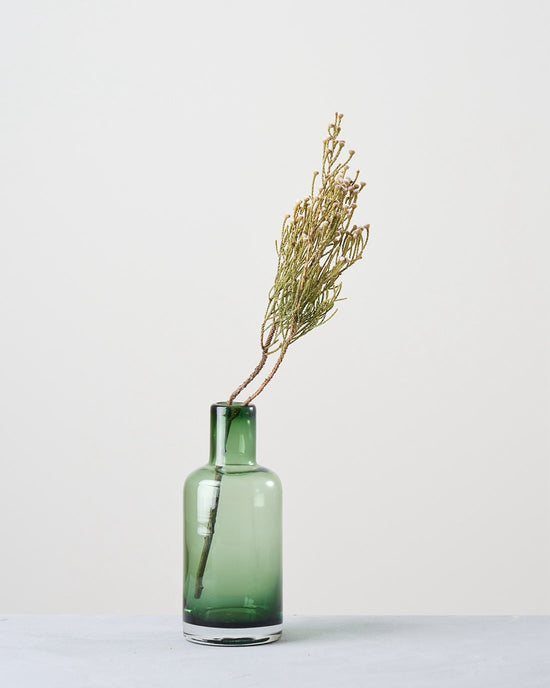 ［ドライフラワー］ブルニア スプレー