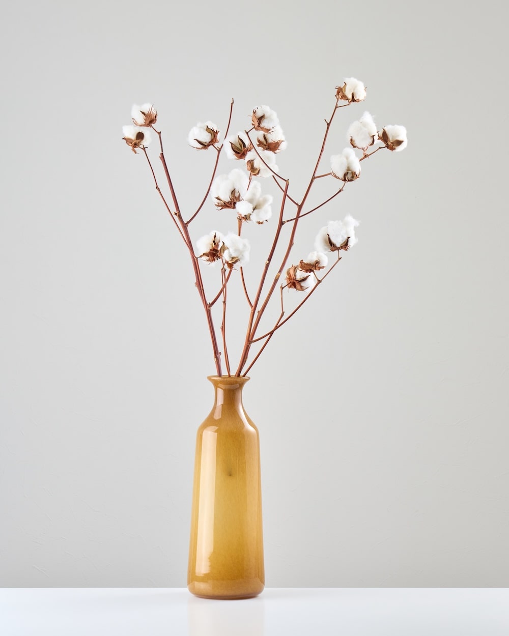 ［BIGボタニカル｜ドライ］コットンフラワー