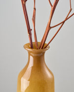 ［BIGボタニカル｜ドライ］コットンフラワー