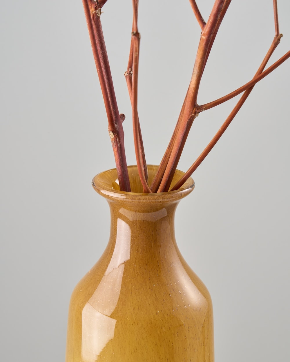 ［BIGボタニカル｜ドライ］コットンフラワー