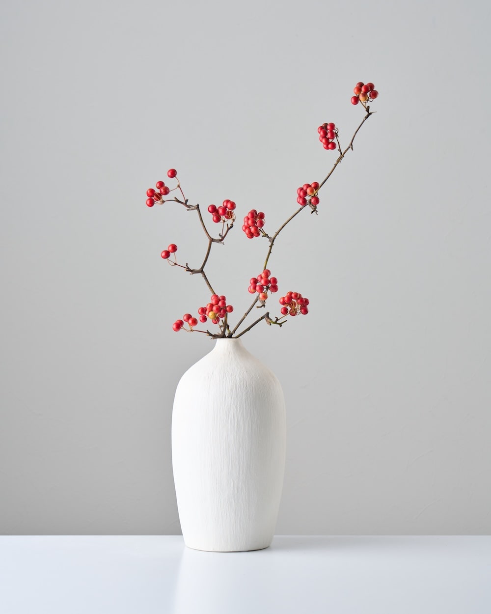 ドライフラワー］サンキライ商品ページ - 土と風の植物園