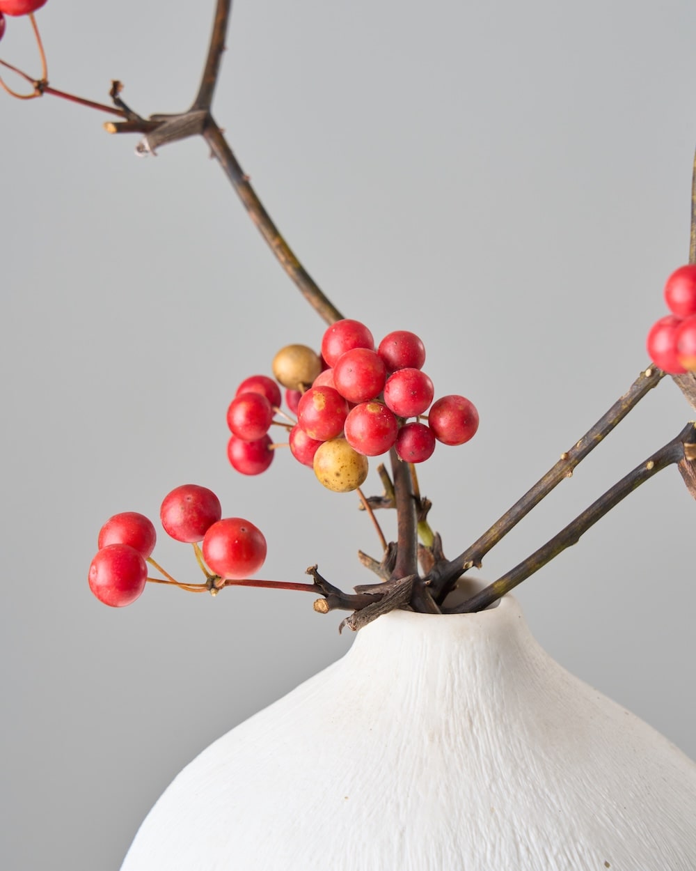 ［ドライフラワー］サンキライ