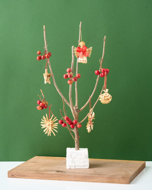 【12/10まで！】飾って楽しむ、ちいさな冬のクリスマスツリー